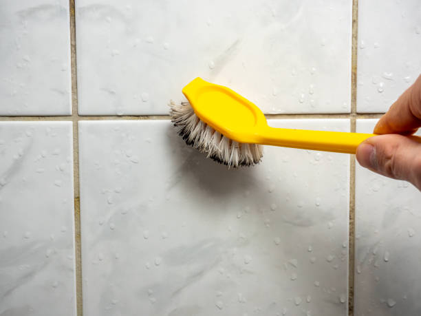 Denton, NC Mold Removal Company